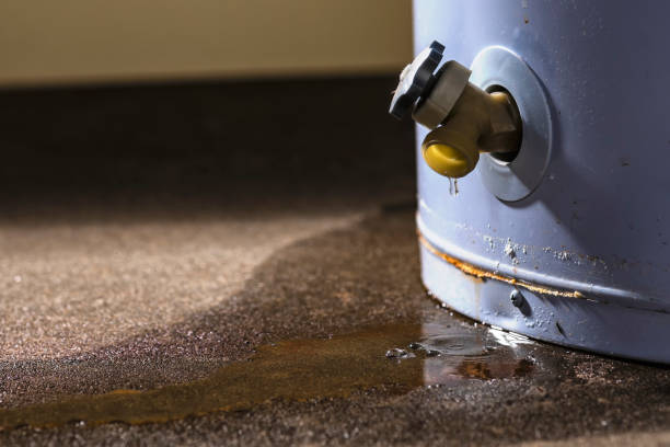 Best Water damage restoration near me  in Cnelius, OR