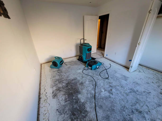 Professional Water damage restoration in Cornelius, OR