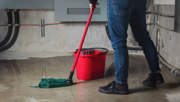 Best Ceiling water damage repair  in Cnelius, OR