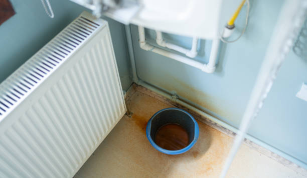 Best Water damage mitigation services  in Cnelius, OR