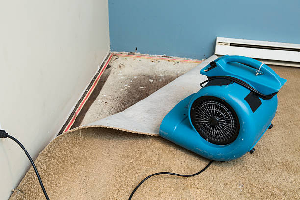 Best Residential water damage restoration  in Cnelius, OR